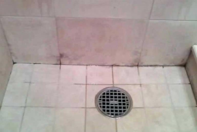 √ Roter Schimmel in Dusche, auf Brot, Bad, WIE ENTFERNEN