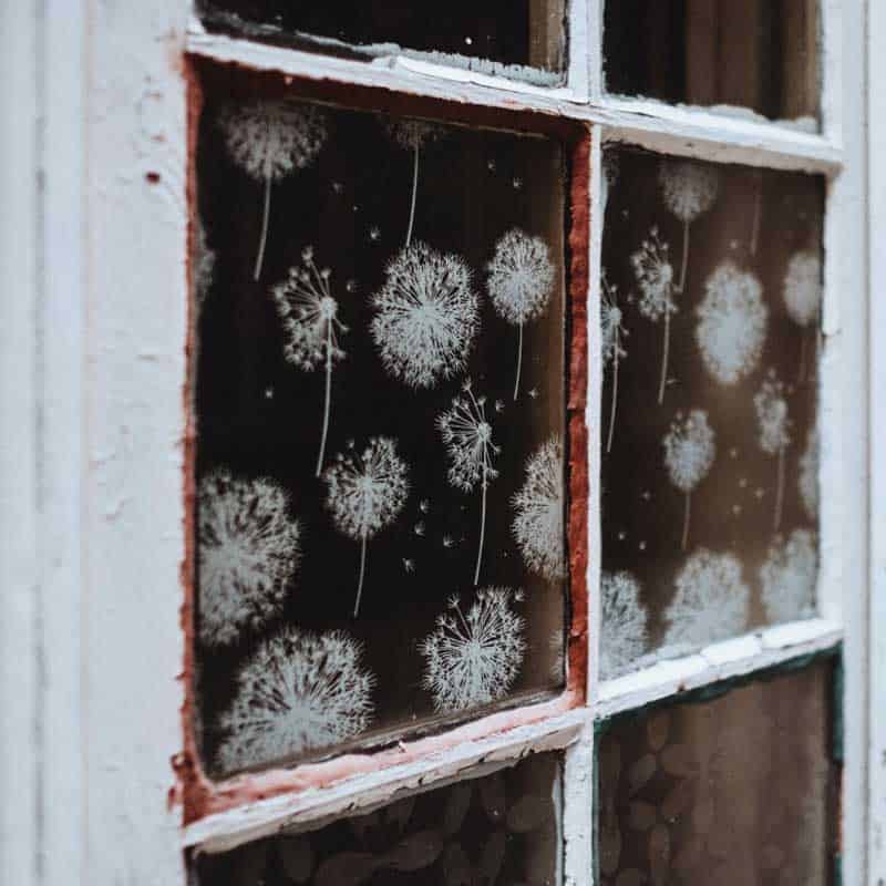 Was verursacht Schimmel am Fenster und Schimmel auf Fensterbänken?