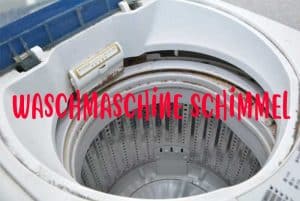 Waschmaschine Schimmel