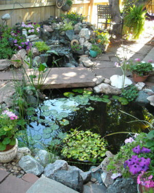 Kleiner Gartenteich: Eine bezaubernde Oase mit Wasserfällen und blühender Vegetation